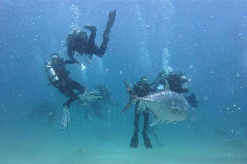 墾丁潛水活動盛行，但暑假以來接連著颱風及西南氣流影響，海域活動幾乎停擺。（圖／羅姓潛水教練照片）