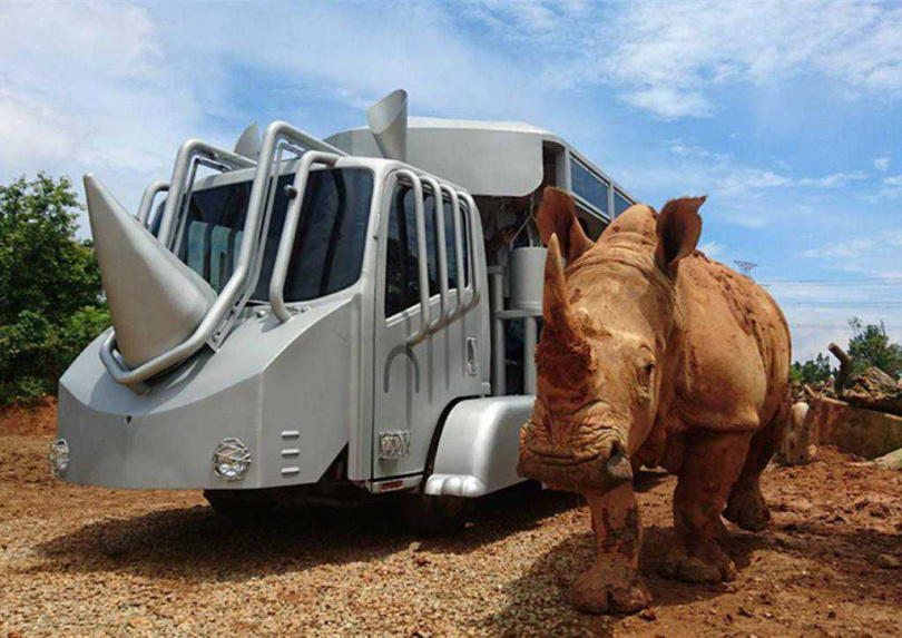 搭乘造型特殊的「犀望巴士」,遊客可了解犀牛保育知識。(圖/六福旅遊集團提供)