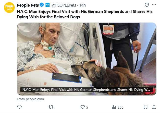 史賓塞輕撫愛犬鮑伊與妮琪，完成生命最後一次相見。（圖／翻攝自X，@PEOPLEPets）