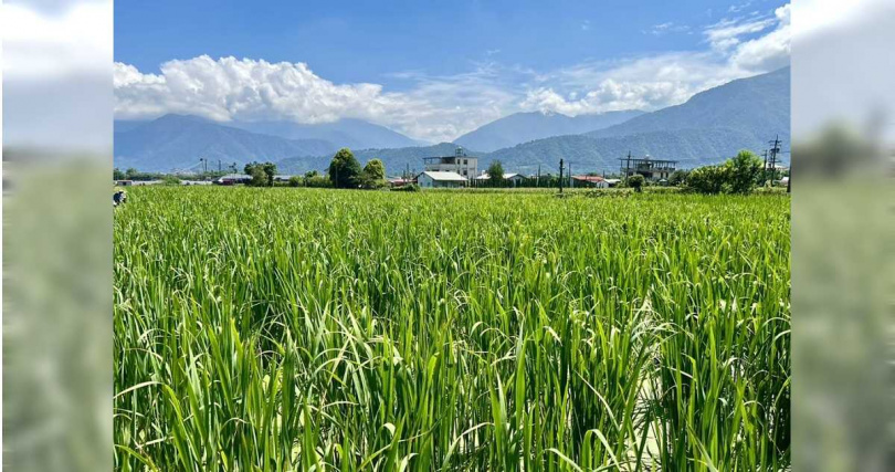 埔里居民說，埔里的水質好，養活了埔里人，堅決反對掩埋場！反對汙染水源！（圖／民眾提供／中國時報記者楊靜茹南投傳真）