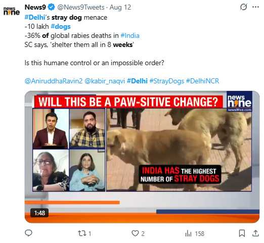 印度擁有超過5,200萬隻流浪犬,犬隻咬人與狂犬病事件引發社會關注。(圖/翻攝自X,@News9Tweets)
