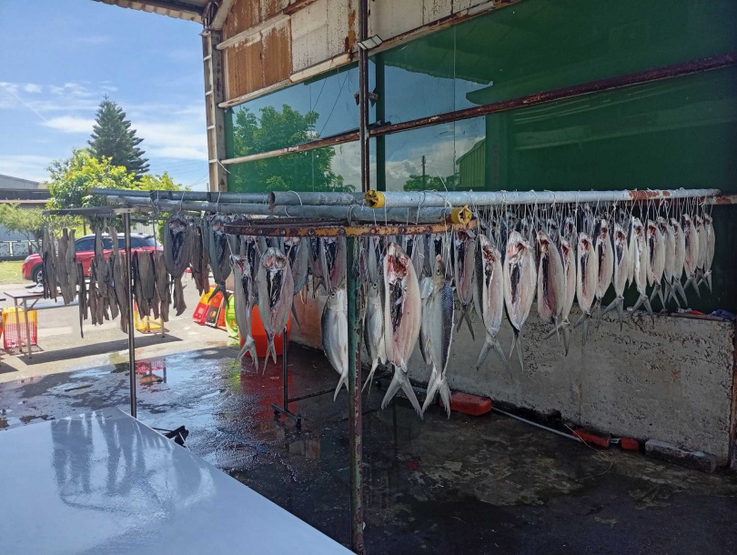 福寶村的虱目魚很新鮮，眼睛特別亮，在黑夜中特別明顯，才讓村民誤以為貓頭鷹整齊排列。（圖／翻攝自臉書，黃耀輝）