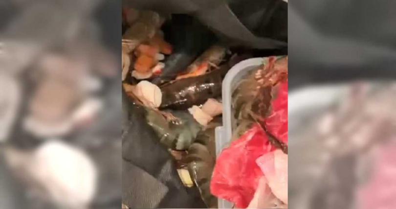 男子偷了一整袋。（圖／翻攝星島頭條）