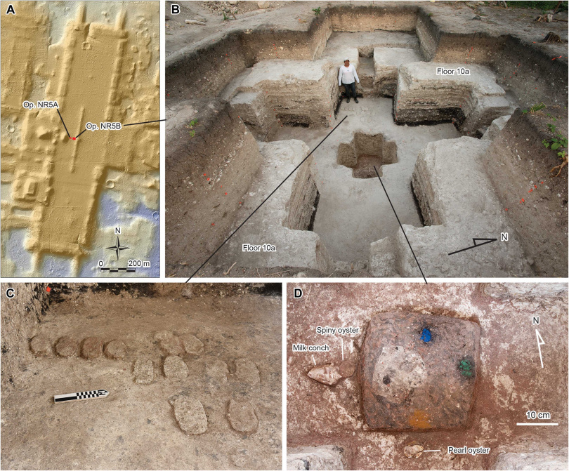 研究團隊運用光學雷達（LiDAR）技術掃描後揭露阿瓜達菲尼克斯（Aguada Fénix）遺址的完整輪廓，顯示其以東西與南北軸線構成十字形宇宙圖樣。（圖／翻攝自X，@En_formare）