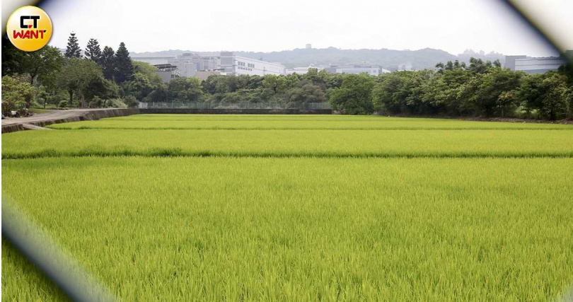 目前龍科三期計畫徵收範圍超過85%為農牧及水利用地，建築用地約3%。據了解，農地地主徵收意願較高，建地地主因多為自住，多半不想被徵收。（圖／方萬民攝）