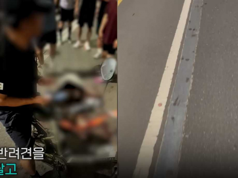 南韓一名50多歲男飼主疑似虐寵至死，他騎車遛狗卻將自家邊境牧羊犬綁在車子後方拖行，導致狗狗傷重活活累死。（圖／翻攝自YouTube／연합뉴스 Yonhapnews）