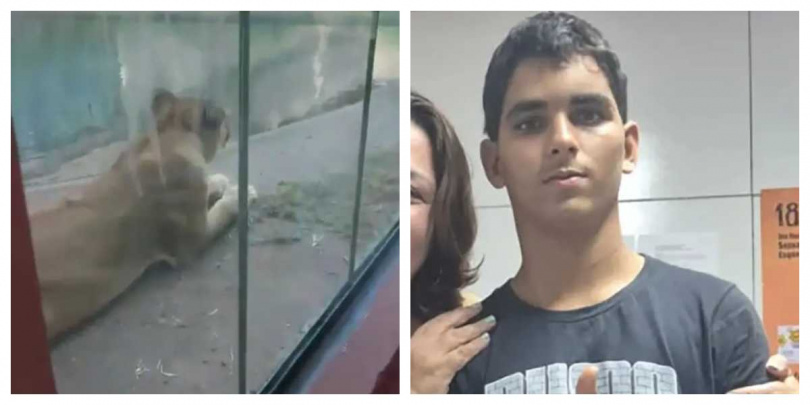 死者為19歲的格森．德梅洛．馬查多，生前有精神健康問題，曾多次試圖接近野生動物。（圖／翻攝自X，@CPreparado）