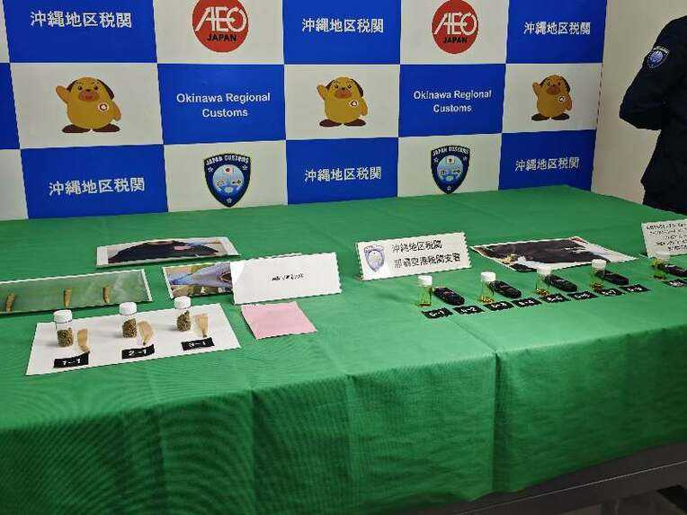 豐見城警署以違反麻藥取締法將2人逮捕。（圖／翻攝自《沖繩時報》）