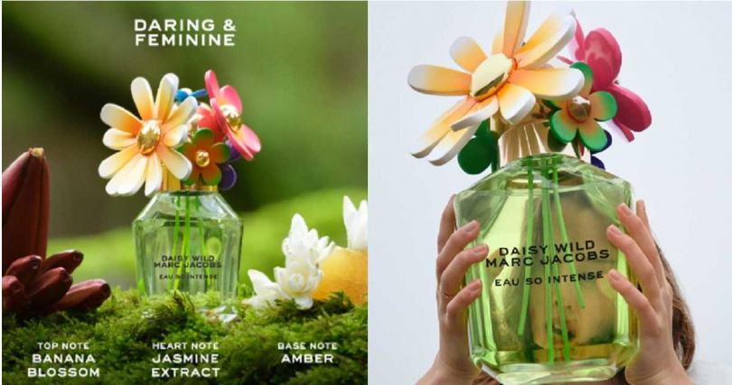 MARC JACOBS 極野之露淡香精30ml/3,300元、50ML/4,850元、100ml/6,250元(圖/品牌提供)