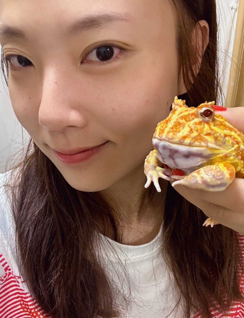 李雪家中的角蛙是朋友送的聖誕禮物。（圖／拾光創藝所提供）