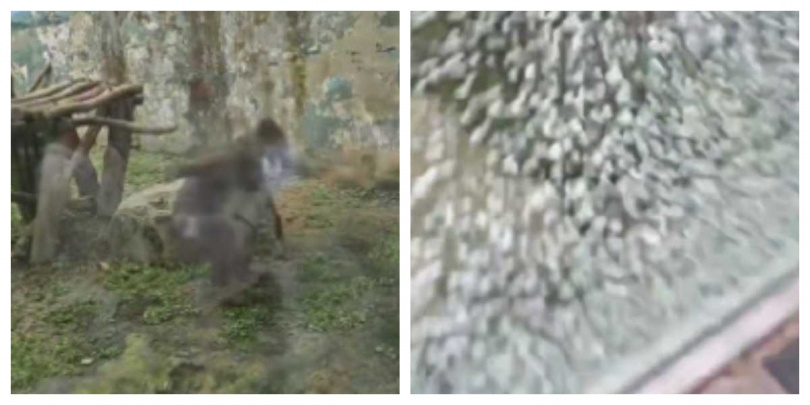 展示圈舍玻璃遭山魈掷石砸破,現場玻璃碎痕清晰可見,嚇壞在場遊客。(圖/翻攝自上游新聞)