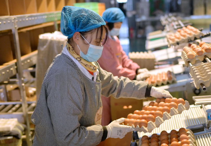 中國7月CPI年增率下降,主要受到食品價格滑落而拖累,雞蛋和豬肉供給過剩加上基期過高所致。(圖/新華社)