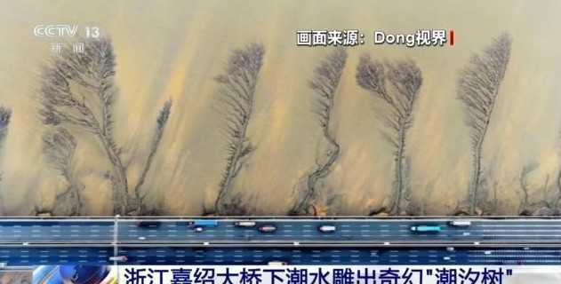 清明連假期間,一段由大陸網友空拍的「浙江嘉紹大橋下潮水雕出奇幻潮汐樹」畫面在網路上迅速走紅。(圖/翻攝自央視)