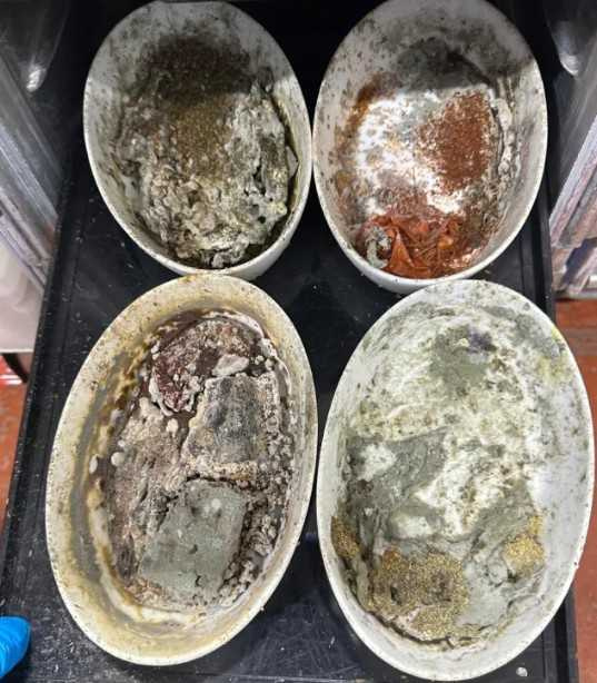 美國洛杉磯國際機場（LAX）旁一處航空餐飲設施爆出工作安全與衛生爭議。（圖／翻攝自臉書，UNITE HERE Local 11）