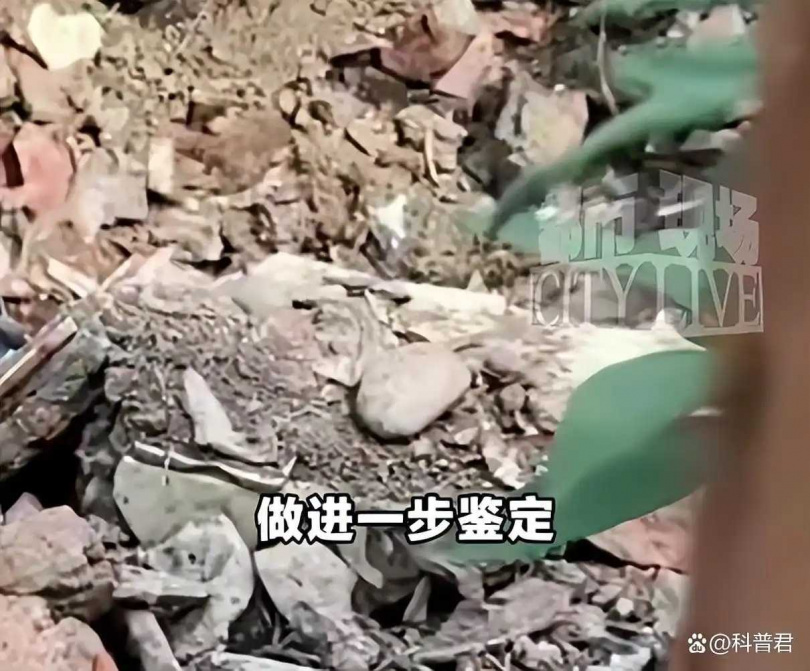 警方已將挖出的部分遺骨取走,進一步進行鑑定。(圖/翻攝自微博,科普君)