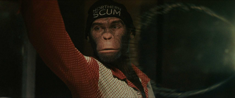 《更好的人》改編自英國流行樂巨星羅比威廉斯充滿爭議的人生故事。(圖/台北双喜提供)