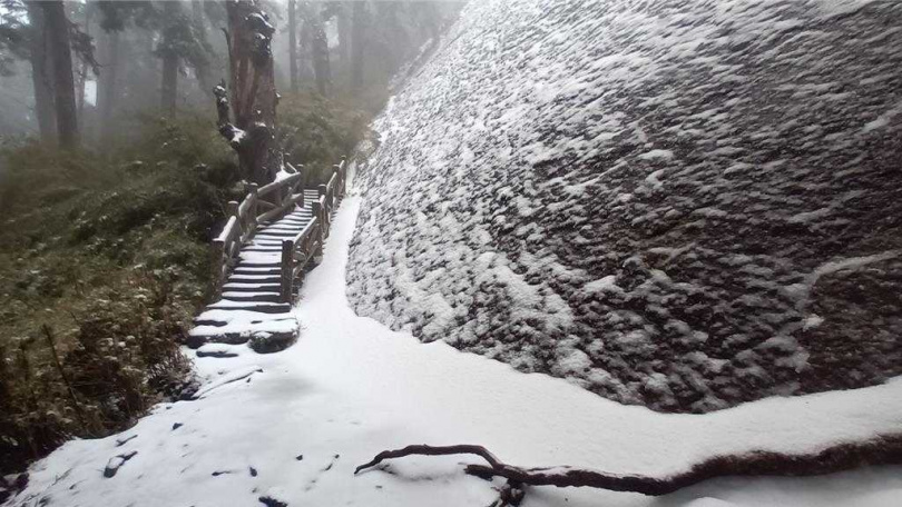 玉山群峰降雪雪線至玉山步道3.6公里處、海拔約2900公尺。