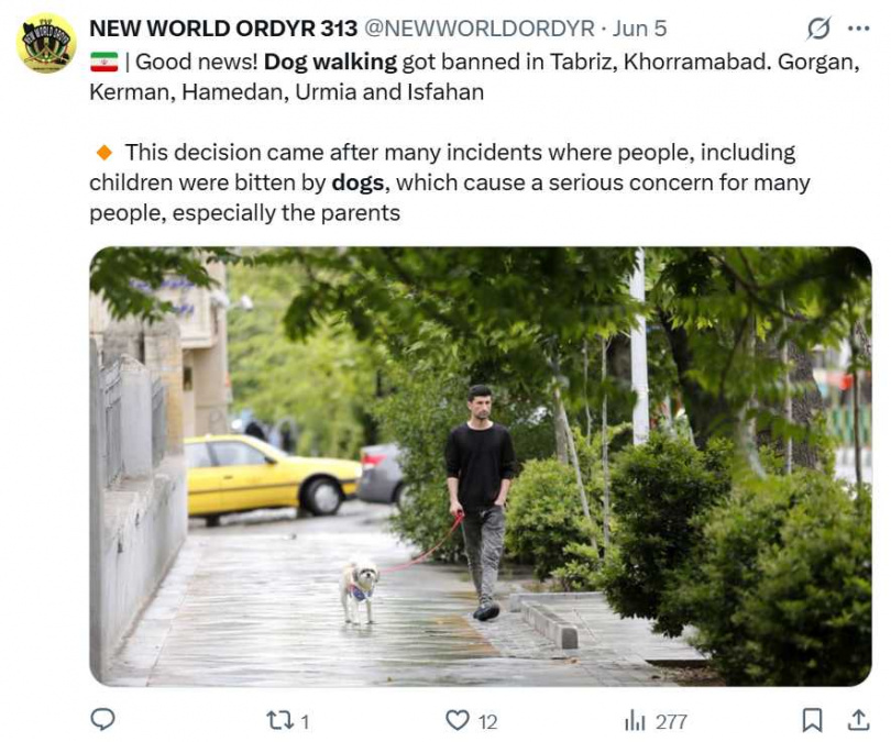 伊朗近日擴大「遛狗禁令」，禁止民眾在18座城市遛狗、車載寵物，引發爭議。（圖／翻攝自X）