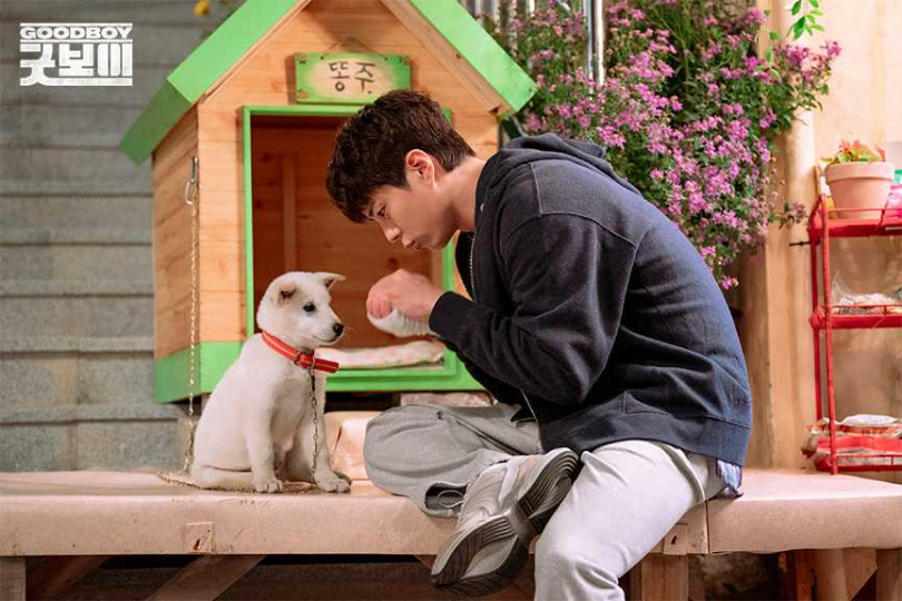 朴寶劍細心貼心，建議大家AA制，這樣他以後才不會不好意思約大家出來吃飯。（圖／取自《健將聯盟》官網）