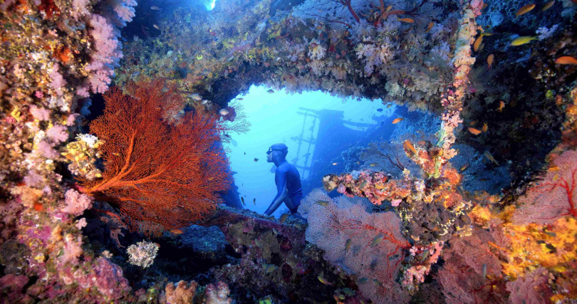 台灣首部深海紀錄長片《沈睡的水下巨人》將於2025桃園電影節再現大銀幕。（圖／桃園電影節提供）