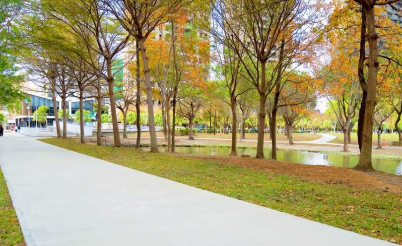 竹北水圳公園「人樹共生」的多功能步道成功提高了綠覆率。(圖/翻攝自竹北市公所媒體群組)