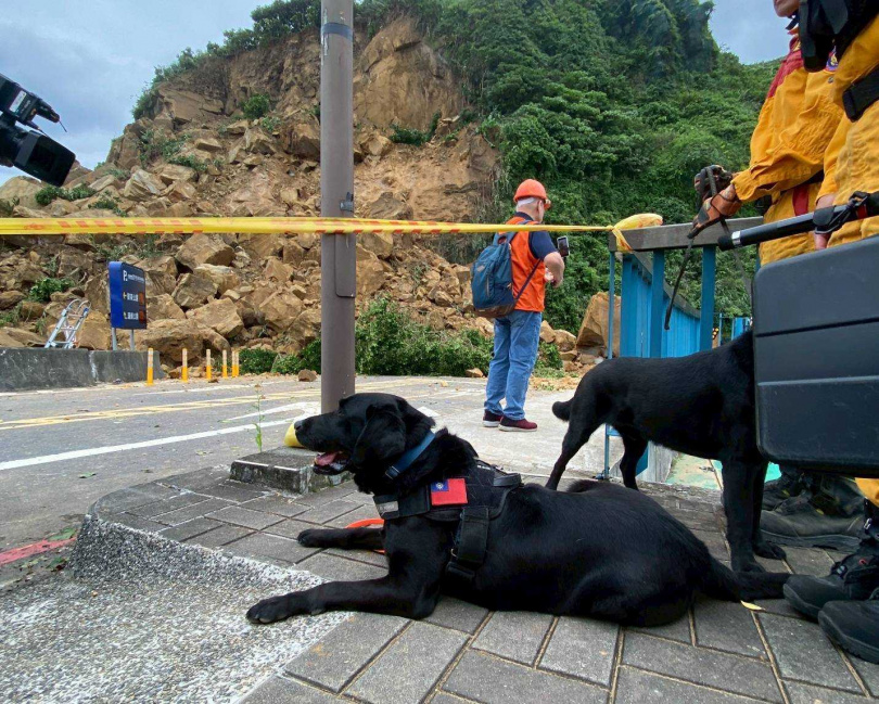 搜救犬Matt服役期間曾參與2024年潮境公園山崩勤務。（圖／翻攝畫面）