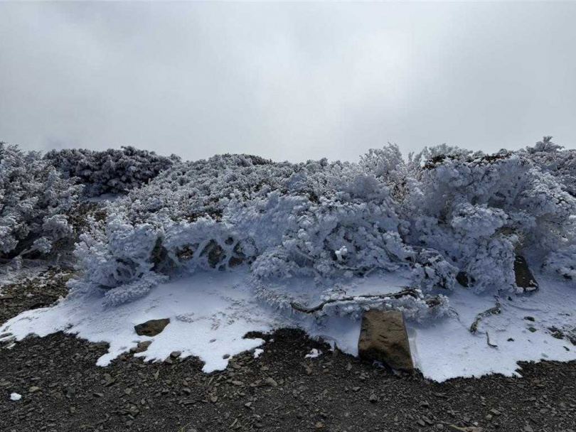 雪山圈谷至雪山主峰間登山步道12日全部降滿白雪。（圖／山友陳宏仁提供）