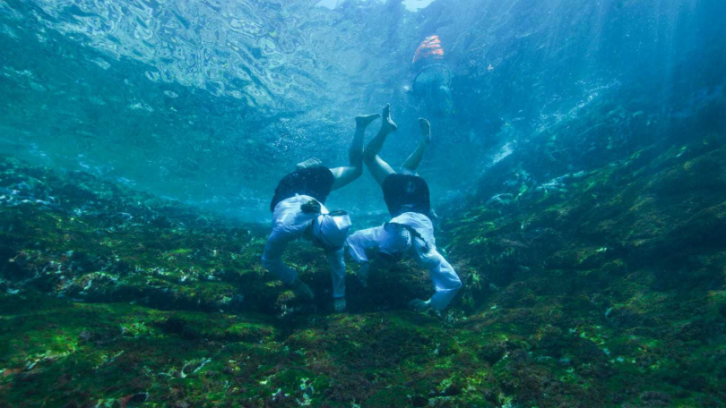 海女不背氧氣筒，憑著一口氣潛下去，讓宋智孝很佩服。（圖／BBC Studios提供）