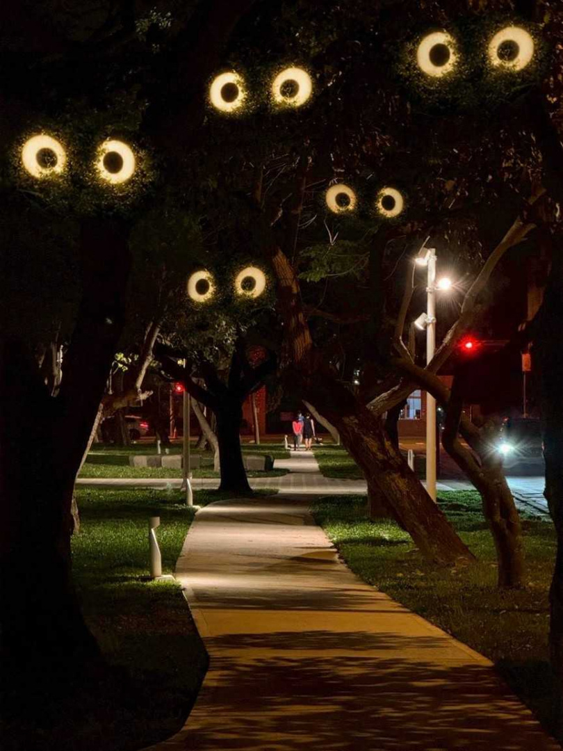 竹北市公所把雙市公園老樹善加點綴為「樹怪」,增添晚間步行的奇趣。(圖/翻攝自竹北市公所媒體群組)