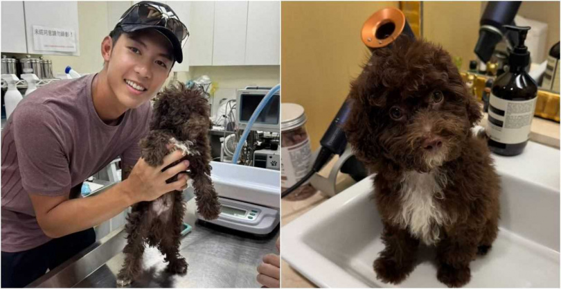 Hazel小時候頭髮亂亂的，在劉丞照顧下，現在是個精緻Boy。（圖／艾迪昇傳播）