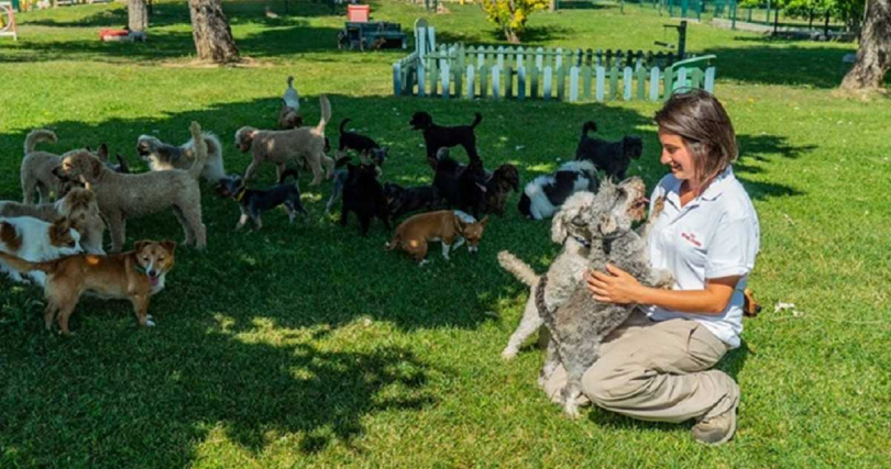 法國皇家長期推廣負責任的飼主觀念，並鼓勵飼主響應「終養不棄養」（圖／法國皇家提供）。