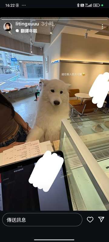 許莉廷PO出上班時間遇到的可愛狗狗。（圖／翻攝自許莉廷IG）