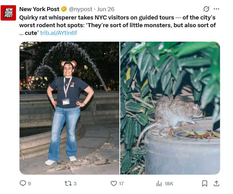 導覽員蘇珊萊斯曼戴著老鼠耳朵，帶領遊客實地走訪紐約鼠患熱區。（圖／翻攝自X）