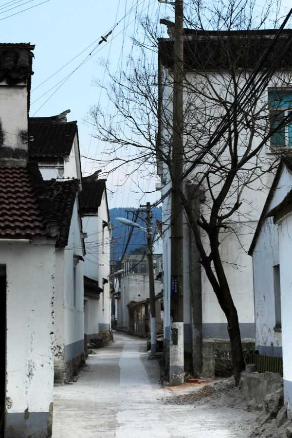 碧螺春發源地西山堂里老街一隅與早年的文革井。（圖／吳德亮攝）