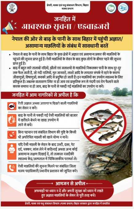 當局呼籲民眾不要隨意捕撈、食用不明魚類。（圖／翻攝自X／@Bihar_se_hai）