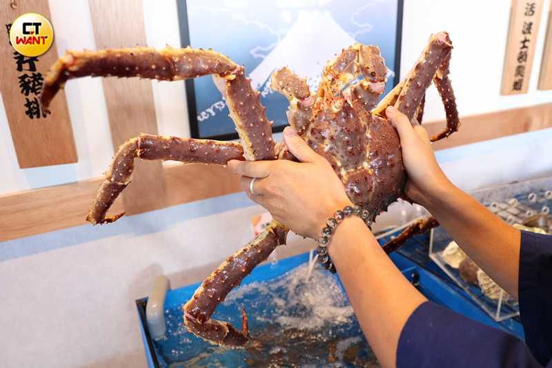 活海鮮櫃可挑選整隻帝王蟹，價格浮動、售價依現場為準，3月底拍攝當日為每公斤4,990元，整隻約1萬5千元左右。（圖／林士傑攝）