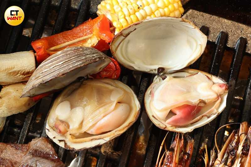 JAPAN燒烤的活海鮮品項包括北寄貝（如圖）、白貝、生蠔、龍蝦、大蝦等輪番供應，為浮動時價、售價依現場為準。（圖／林士傑攝）