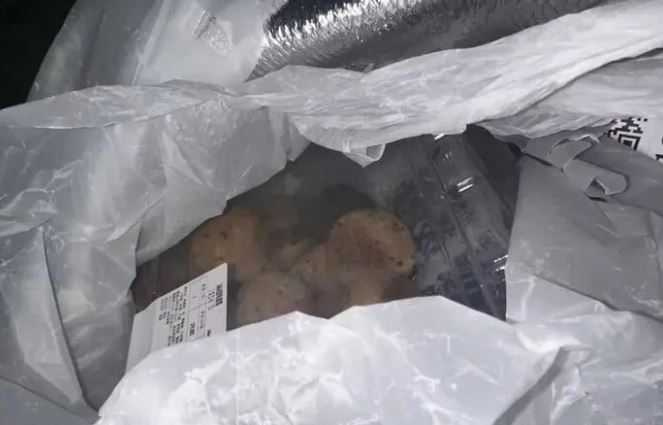 1則「深圳山姆極速達麻薯盒中發現活老鼠」的消息，在社交平台快速傳播。（圖／翻攝自微博）