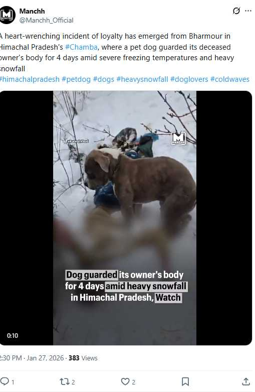 救難人員在厚重積雪中尋獲兩名少年遺體,現場忠犬Jonu始終守在主人身旁。(圖/翻攝自X,@Manchh_Official)