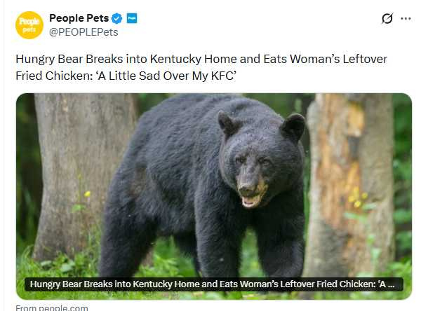 黑熊闖屋吃光KFC後,諾斯兩天後又在自家門廊發現另一隻熊出沒。(圖翻攝自X,@PEOPLEPets)