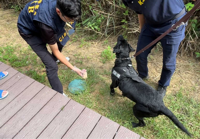 保安警察第三總隊警犬分隊出動協助搜尋埋藏在山區、公園的毒品。(圖/刑事局提供)