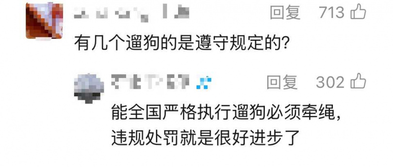 有網友聲稱,曾在上午8點帶狗散步,即使持有養犬許可證,仍遭開罰約新台幣1800元。(圖/翻攝自上海新聞廣播)