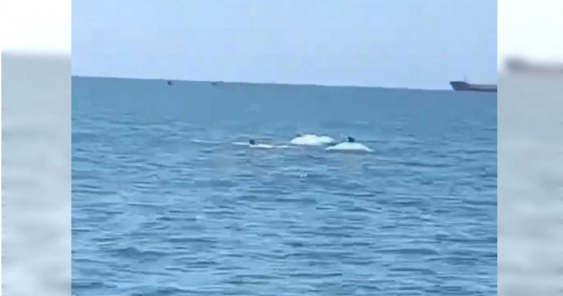 雲林縣沿海地區近日有不少白海豚出沒，漁民20日表示最近各地都在慶祝媽祖聖誕，白海豚的出現，像是在為媽祖祝壽。（圖／民眾提供／中國時報張朝欣雲林傳真）