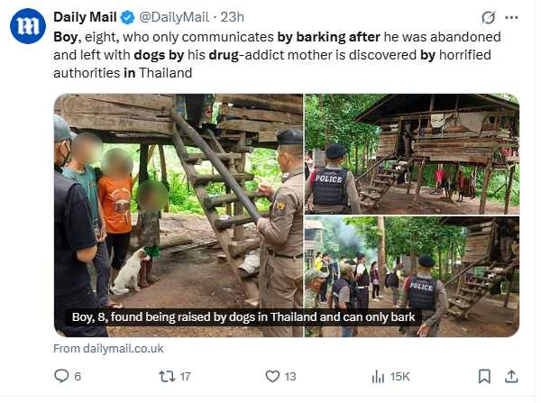 泰國一名8歲男童與狗一起被困毒窟多年，見人只會「汪汪叫」，救援畫面令人鼻酸。（圖／翻攝自X）