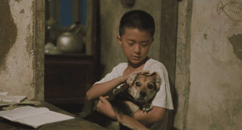 黃坤玄在電影《魯冰花》中演技備受觀眾青睞。(圖/國家電影及視聽文化中心提供)