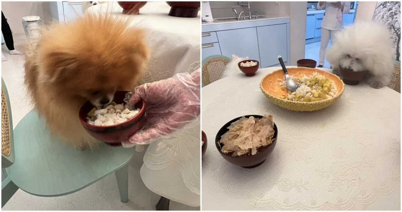 愛犬吃年夜飯。（圖／文茜的世界周報 Sisy's World News臉書）