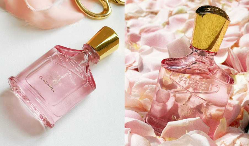 （圖／廖怡婷攝）