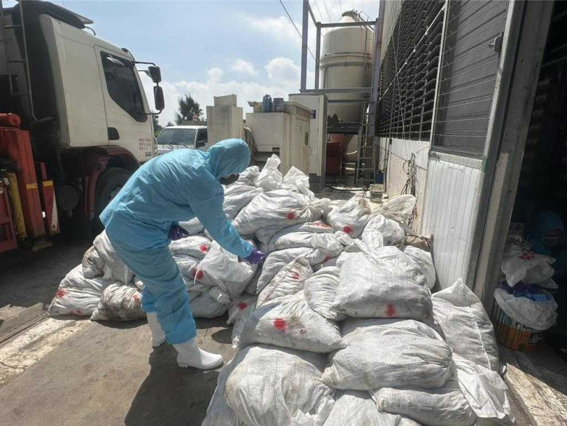 彰化福興鄉1場鵪鶉場確診感染禽流感，動防所防疫人員今日完成該鵪鶉場撲殺清場及消毒工作，計撲殺6萬9177隻鵪鶉。（圖／彰縣府提供）