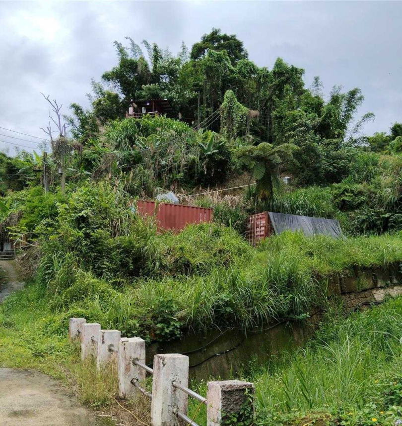 桃園市政府動物保護處於28日查獲大溪區康莊路上1處非法繁殖犬場。(圖／翻攝畫面)