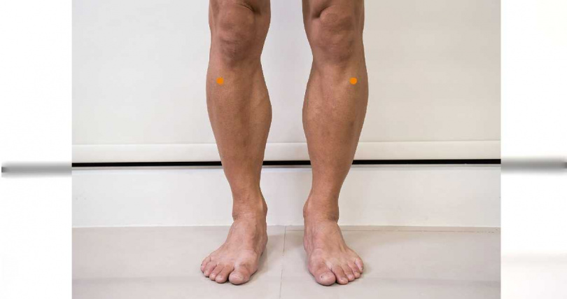 足三里穴位置圖。（圖／周亞錚提供）